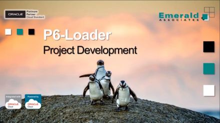 P6-Loader v11 - Primavera P6 Project Development